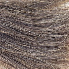 13” Horsehair Shoofly Round Striped Rawhide Knot Brass Ring Chestnut Sorrel