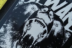 Beware Bear Grizzly Griptape Hesh Punk Rock Z34A Vintage Skateboarding STICKER