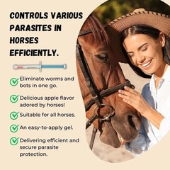 Apple Equine Paste 3-Pack – Fresh exp 1/2028, Low Price, Easy Application, New