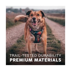 Embark Adventure No Pull Dog Harness, Reflective Trim No Pull Harne… Fast Ship