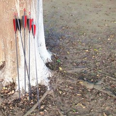 Archery Carbon Arrows 400 Spine with 4” Real Feather Fletching 100 Grain Poin…