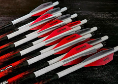 Bohning Alpha Vanes – 36 Pack