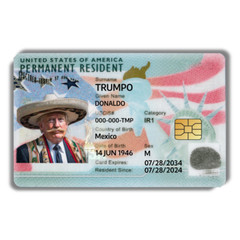 Funny Green Card Sticker (4-Pack) | Parody Credit Card Skin | Trump, Chalino, Gr