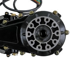 48V 500W 1000W Brushless Electric Differential Motor Gearbox Rear Axle Go Kart