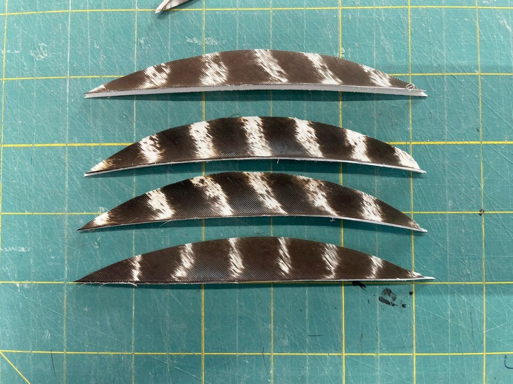 5″ Right Wing Banana Natural Barred Feather Fletching, 25Pk Archery 🇺🇸