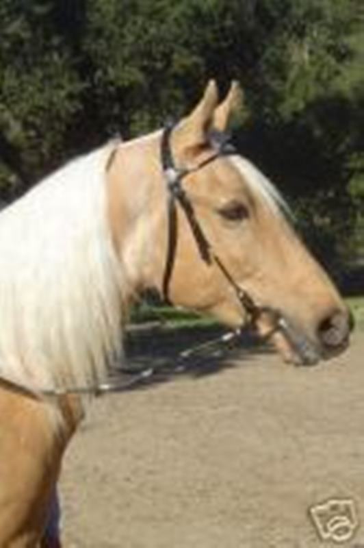 BLACK Leather Western Poco Bridle w/Silver Ferrules Arab COB Horse Large Pony