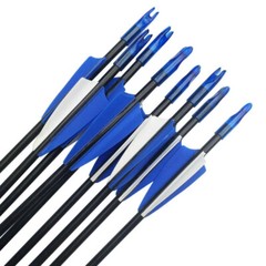 30/40LBS Archery Fiberglass Arrows Practice Target 31″ Bow Shoot Hunt archery