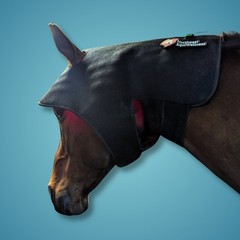 NE EquiWellness Horse Red Light Therapy Poll Cap / Leg Wrap Near Infrared Equine