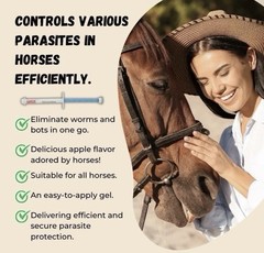 10 Pack In Box Paste Horse Dewormer Apple Flavored Wormer US