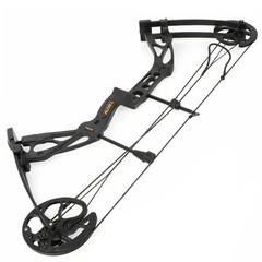 0-70lbs Compound Bow Set 320FPS Sight Carbon Arrows Feathers Shoting Archery