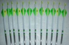 12 Gold Tip XT Hunter 400 Carbon Arrows Custom White Dip Crest/Blazer Vanes