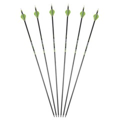 30″ Pure Carbon Arrows Straightness0.003 for Recurve/Compound Bow Hunting Shoot