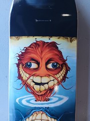 Anti Hero Grimple Stix » Through The Worm Hole» Skateboard