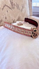 WOWSA! GENIE Bling Bling Horse Brow Band