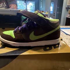 Nike SB Dunk Mid Brown Green Purple Donatellos Shoes US 8.5 D Medium
