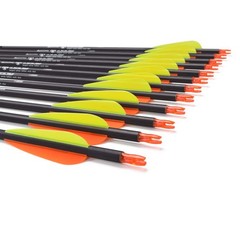 Carbon Arrow Hunting Arrows with 100 Grain Tip and Removable Tips for Archery…