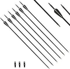 31.5Inch Carbon Arrow Targeting Practice Hunting Arrows Spine 400 – 12PK