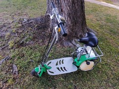 Viza Motorsports Gas Scooter