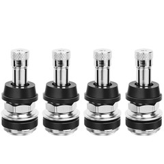 TR416 Valve Stem, 4 Pack Premium Metal Tire Valve Stems for Tubeless 4-Pack