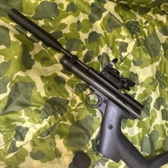 Custom Crosman 2240XL Carbine, C02, .22. Many Enhancing Extras. See Description
