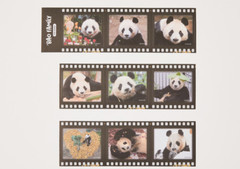 Korea Everland Baby PANDA BEAR Fubao Family Film Sticker 3 Set-9 Sheet