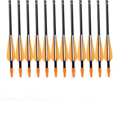 12PCS 31-inch Fiberglass Arrows SP700 Archery Hunting For Compound Recurve Bow