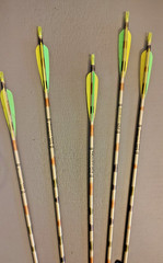 Vintage Martin Cougar Magnum M-15 Compound Bow by martin-w/5 Easton Arrows XX75