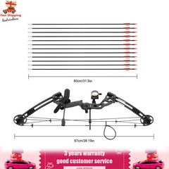Compound Bow Kit with 12 Arrows Right Hand Archery Hunting Set Black 30-55lbs