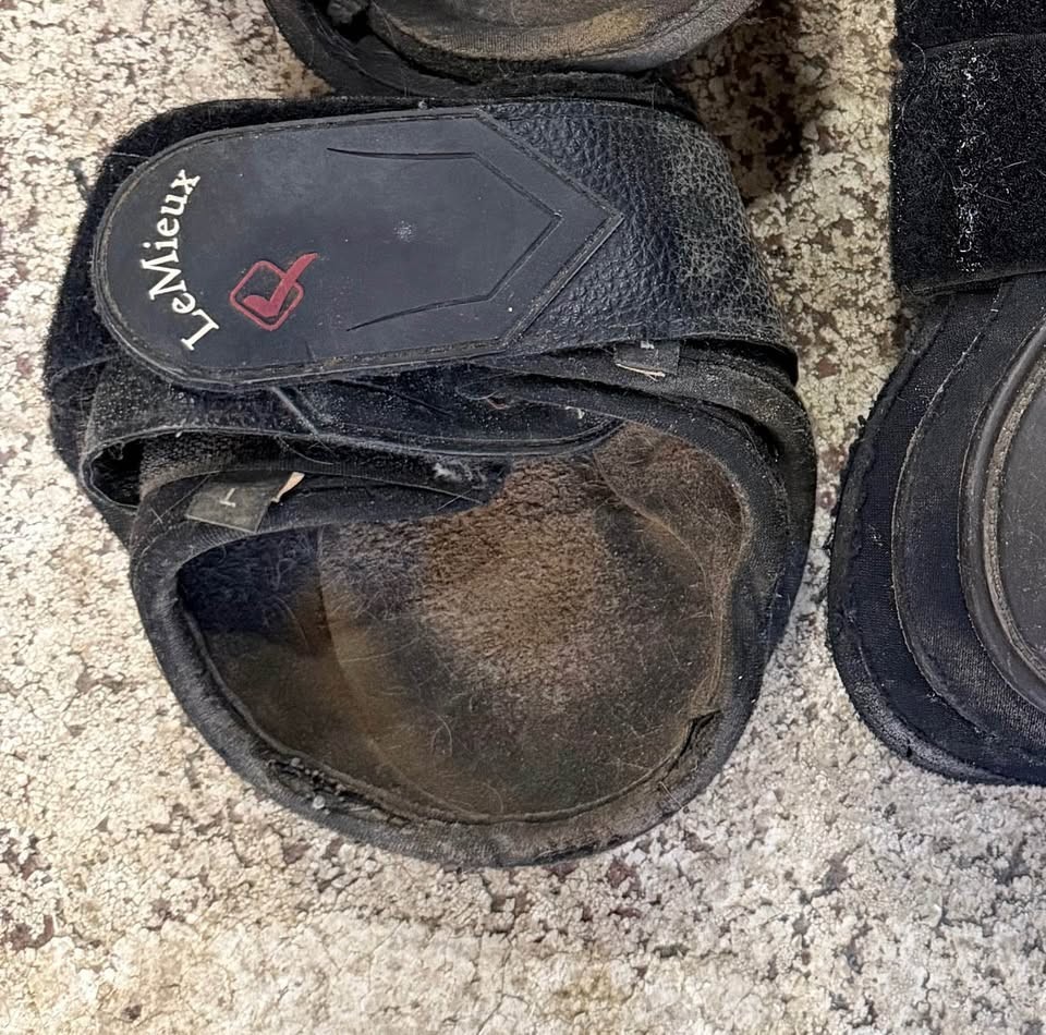 Used LeMieux black leather & neoprene ankle boots (horse)
