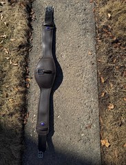 Wintec Anatomic Girth with CAIR 50in Length