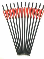 12Pcs 20″ Crossbow Bolts Carbon Arrows Half Moon Nocks 8.8mm Shaft OR Broadhead