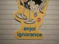 Enjoi Skateboards Party Dress Fancy Original Z7A Vintage Skateboarding STICKER