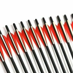 12Pcs 20″ Carbon Halfmoon Crossbow Arrow Bolts For Hunting and Outdoor Practice