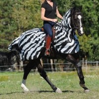 Bucas Riding Rug Zebra