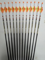 @NEW@ 12- Victory Archery HLR .204 V1 Elite 300 Carbon Dip/Crested Arrows