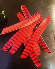 7-9in Full Length Turkey Feathers Cut Fletches Archery Hunting Flu Flu Arrows