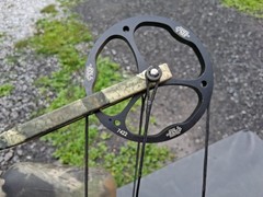 PSE Stinger Compound Bow