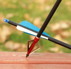 20 in Crossbow Bolts Carbon Crossbow Arrows +/OR 100 Grain Hunting Broadheads