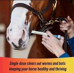 10 Pack New Paste Wormer Horse Dewormer Apple Flavor US Free Shipping EXP01/2028