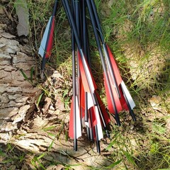 20″ Carbon Crossbow Arrows Crossbow Bolts 3X Lighted Nocks Archery Bow Shooting
