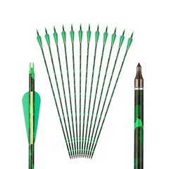 Compound Bow Set 30-70lbs Archery Hunting Kit 310FPS Adult Arrow Target Practice
