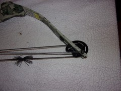 Proline Riptide Compound Bow
