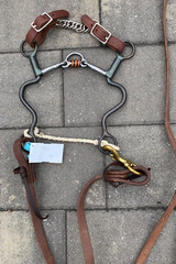 Dutton Floating Hood Cavalry Shank Horse Bit w/ Bit Hobble, Curb Strap, & Reins