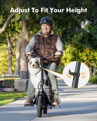 Gyroor C1Plus Electric Scooter 1000W(Peak) With Removable Two Baskets for Pets