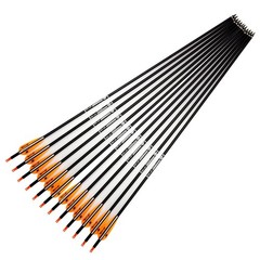 31inch Carbon Arrow Archery Targeting Practice Hunting Arrows for Compound & …