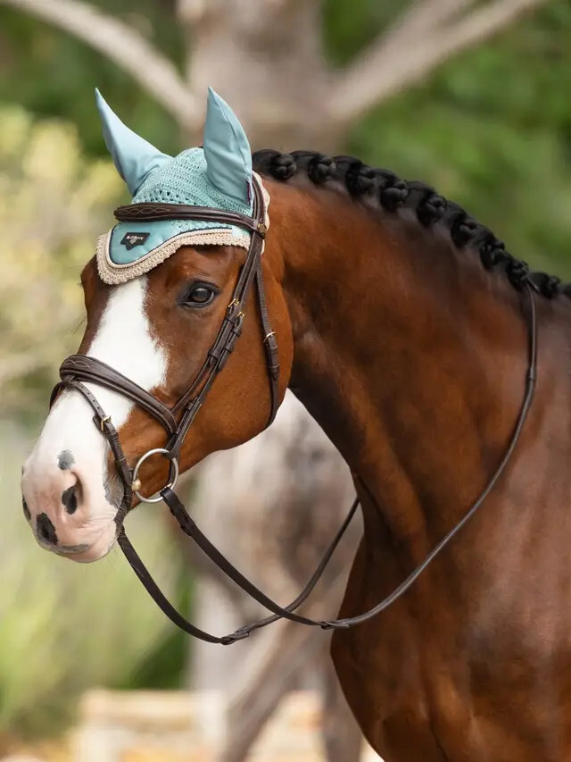 LeMieux Loire Fly Hood – Aqua