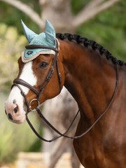 LeMieux Loire Fly Hood – Aqua