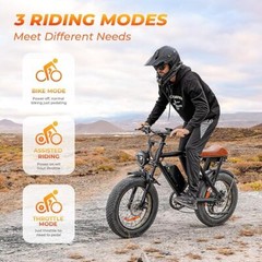 20″ FAT TIRE ADULTS ELECTRIC BIKE MAX1500W 33MPH 48V 15.6AH MOUNTAIN EBIKE