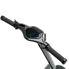 RED BULL Oracle / Formula 1 e-Scooter Carbon Edition BRAND NEW IN BOX!!!