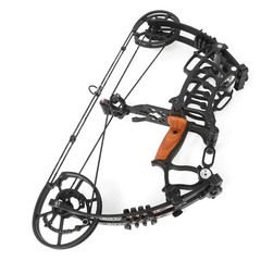 30-60lbs Compound Bow Kit Steel Ball Arrows Dual-use Archery Hunting Fish RH LH